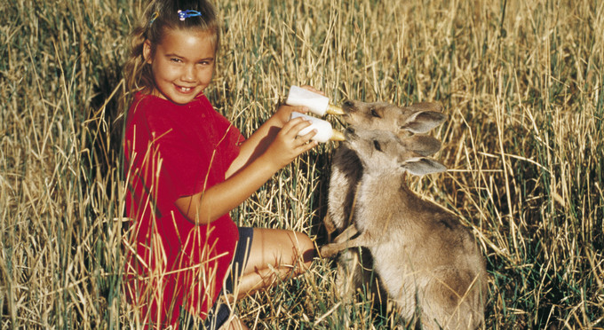 Mulwala, The Murray - australian native