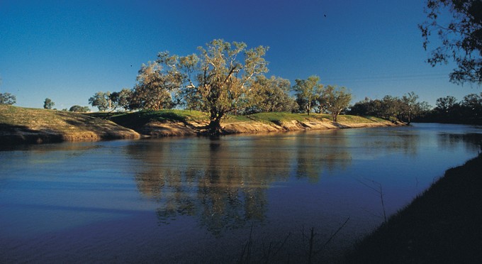 The Murray -