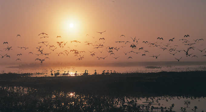 Darwin and Surrounds - landscape sunrise/sunset parks wetlands bird life