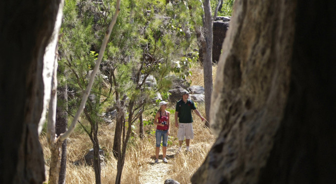Lost City, Litchfield National Park, Darwin and Surrounds - outback bushwalking
