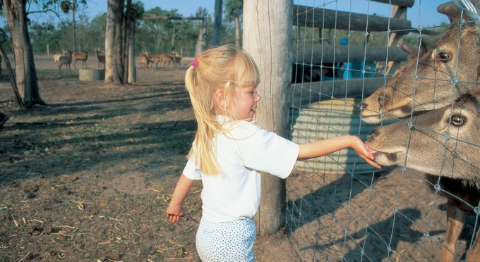 Esk, Brisbane - rural zoos other animals