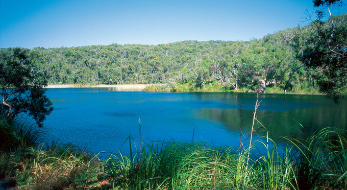 North Stradbroke, Brisbane - landscape islands lake forest