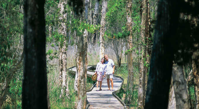Bundaberg Coral Isles And Country - coastal forest bushwalking