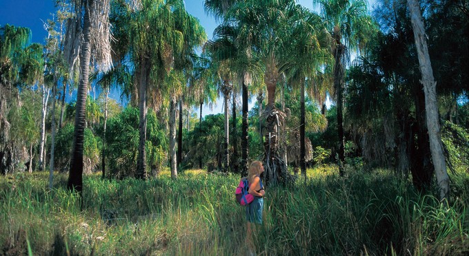 Woodgate, Bundaberg Coral Isles And Country - coastal forest bushwalking