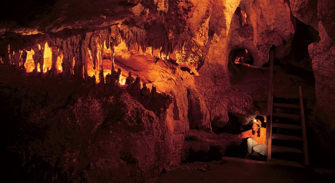 Capricorn Caves, Capricorn - caves