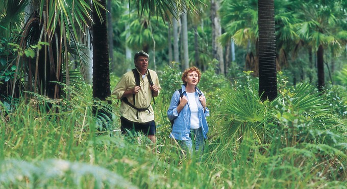 Capricorn - forest rainforest bushwalking