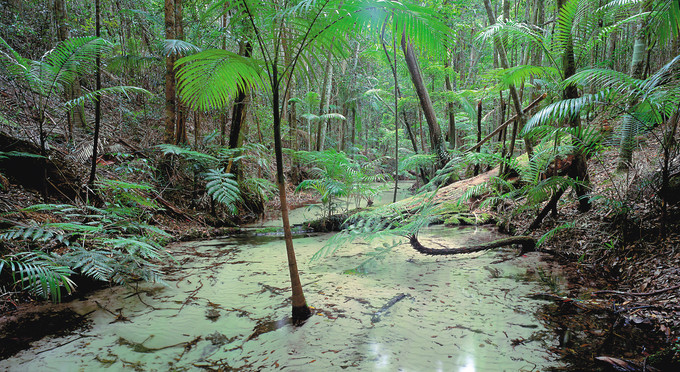 Central Station, Fraser Coast South Burnett - islands river/creek rainforest