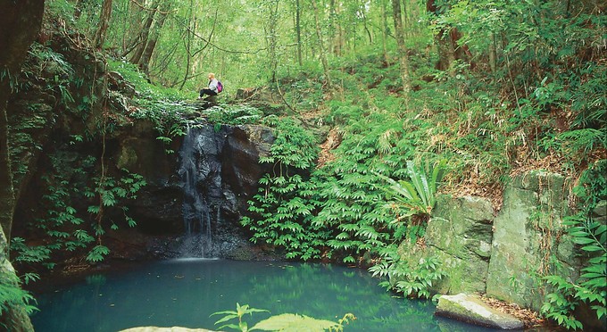 Fraser Coast South Burnett - waterfall waterhole rainforest bushwalking