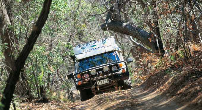 Deepwater National Park, Gladstone - forest 4wd