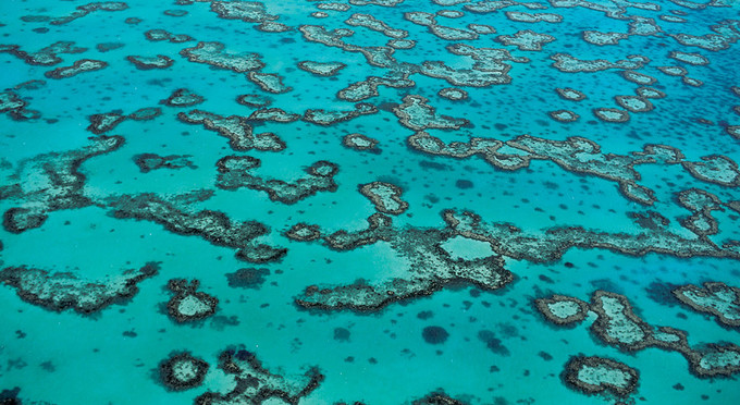 Great Barrier Reef Gladstone, Gladstone - aerial coastal reef
