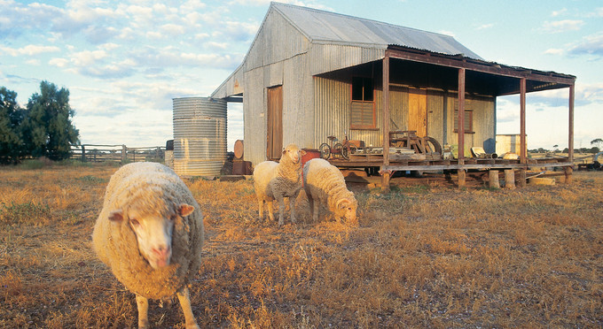 Blackall, Outback Queensland - sunrise/sunset rural