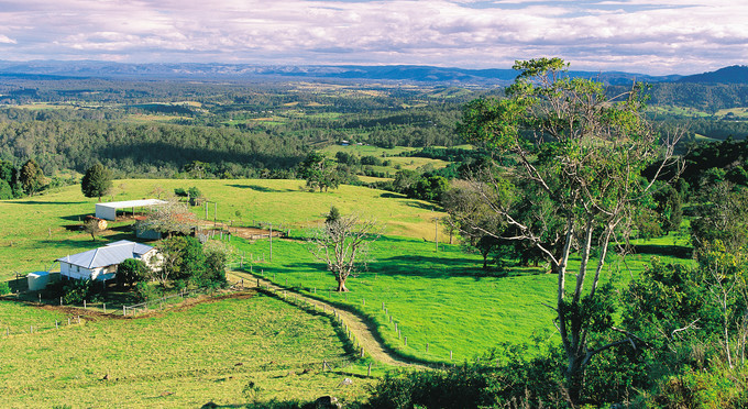 Montville, Sunshine Coast - landscape rural