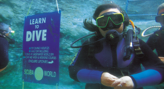 Mooloolaba, Sunshine Coast - diving