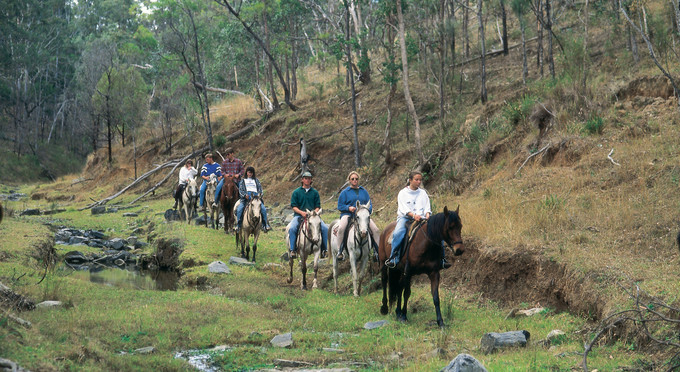 Crows Nest, Toowoomba and Golden West - river/creek forest horse riding