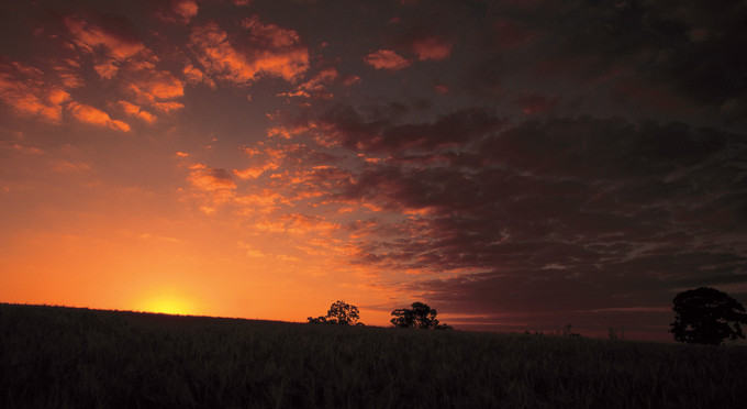 Crows Nest, Toowoomba and Golden West - landscape sunrise/sunset