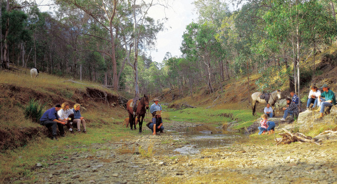 Crows Nest, Toowoomba and Golden West - forest horse riding