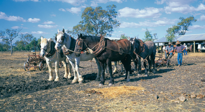 Jondaryan, Toowoomba and Golden West - rural horse riding heritage