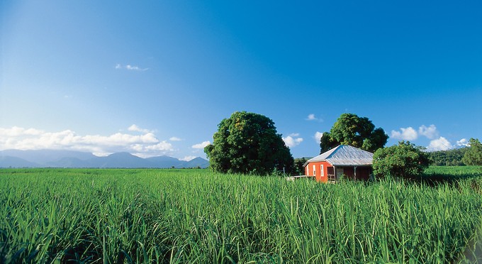 Townsville - landscape rural