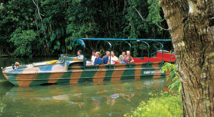 Kuranda, Tropical North Queensland - river/creek rainforest