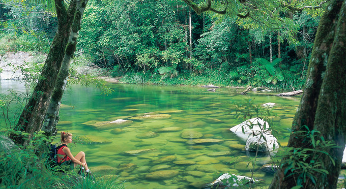 Mossman, Tropical North Queensland - landscape river/creek forest rainforest