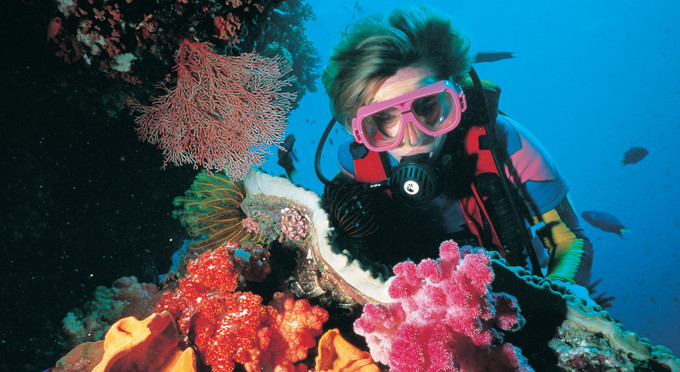 Great Barrier Reef Whitsundays, Whitsundays - coastal reef diving swimming marine life