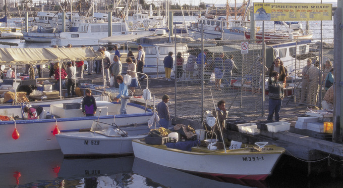 Port Adelaide, Adelaide - bay/harbour boating fishing
