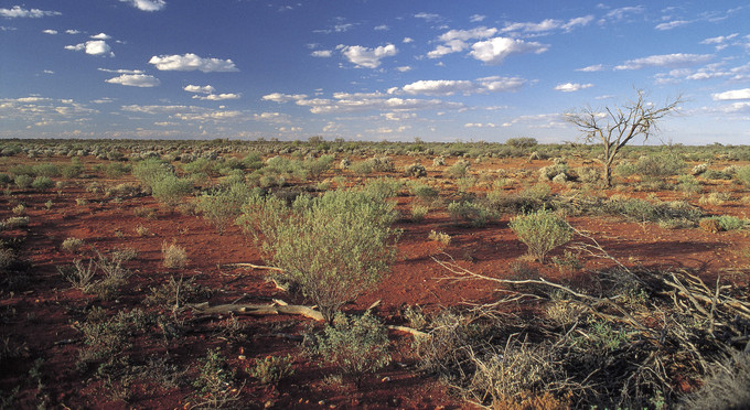 Coober Pedy, Flinders Ranges - landscape outback