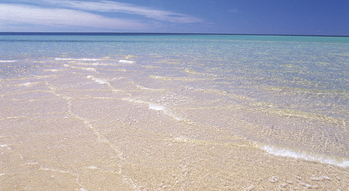 Black Point, Yorke Peninsula - beach coastal