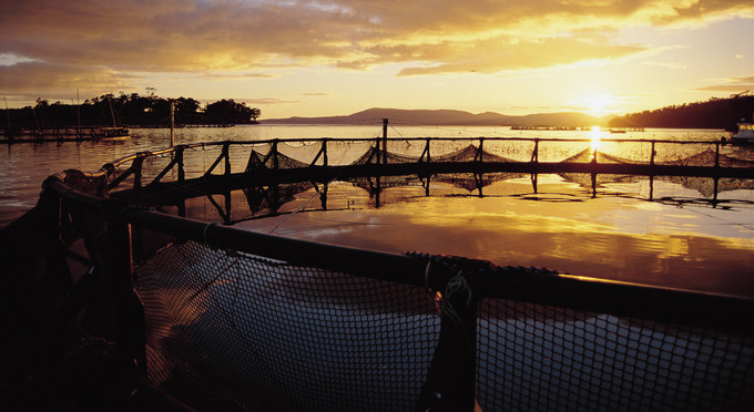 Dover, Tasmanias South - sunrise/sunset bay/harbour coastal fishing