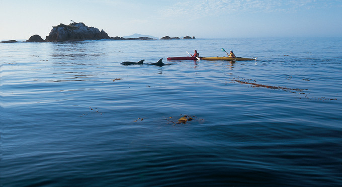 Ketchem Bay, Tasmanias South - coastal boating marine life