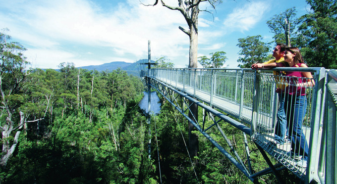 Tahune Forest Reserve, Tasmanias South - forest bushwalking