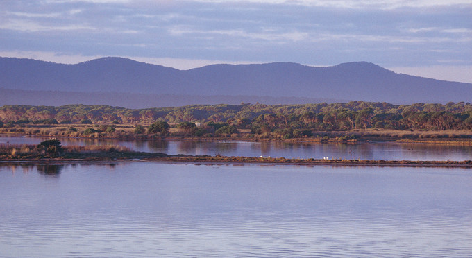 Mallacoota, Gippsland - mountains