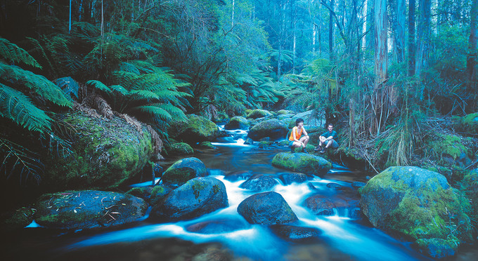 Walhalla, Gippsland - river/creek rainforest bushwalking