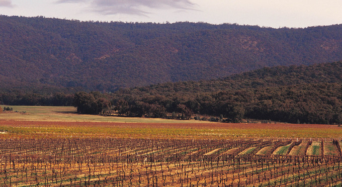Avoca Victoria, Goldfields - landscape rural wineries