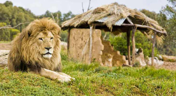 Werribee, Melbourne - zoos other animals