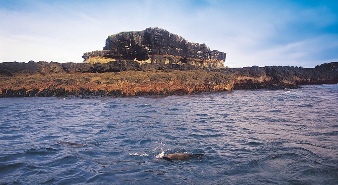 Phillip Island - coastal rocky coastline marine life