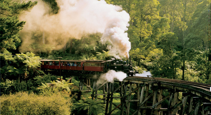 Puffing Billy, Yarra Valley And Dandenong Ranges - forest rainforest heritage rail