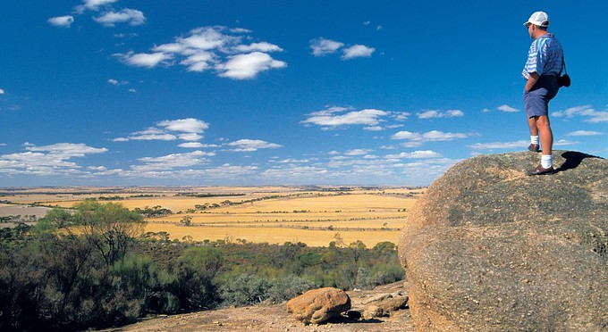 Australias Golden Outback - landscape outback rural