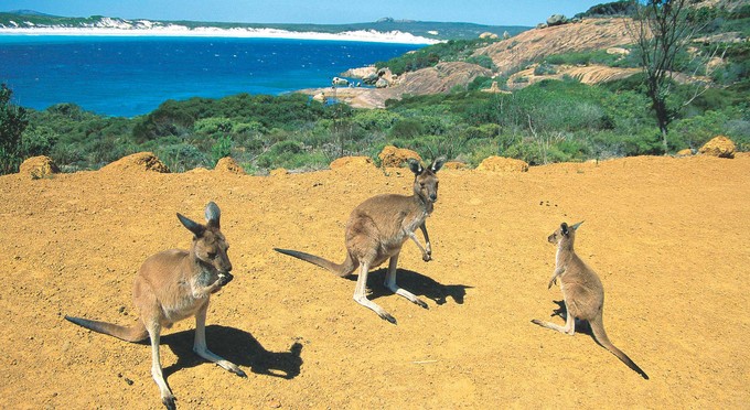 Cape Le Grand National Park, Australias Golden Outback - 