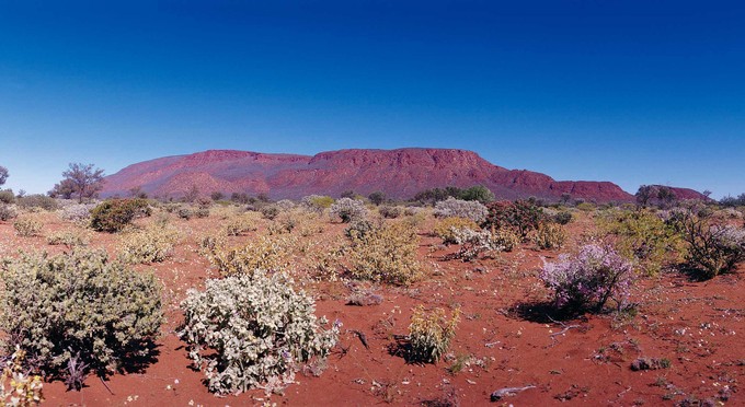 Mount Augustus, Australias Golden Outback - landscape mountains outback bushwalking flowers