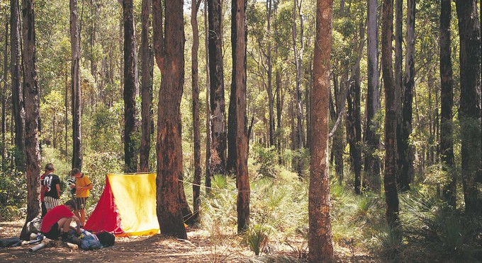 Dwellingup, Perth - forest camping