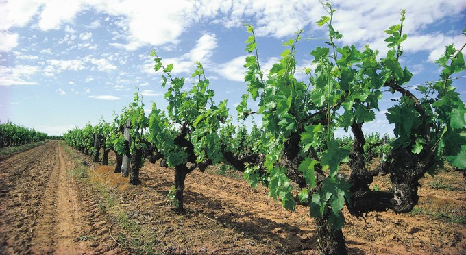 Margaret River, Australia's South West - rural wineries