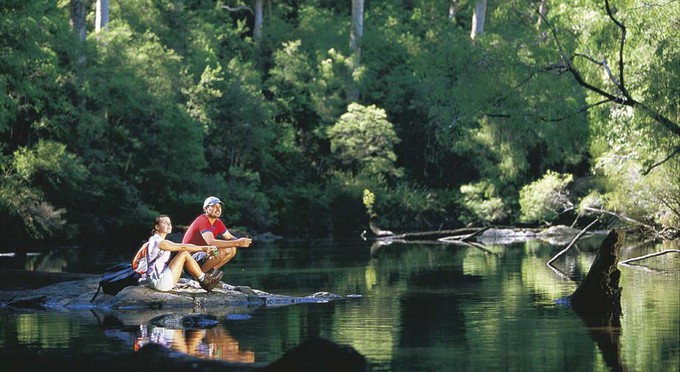 Pemberton, Australia's South West - landscape river/creek forest bushwalking
