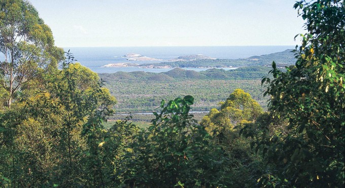 Walpole-Nornalup National Park, Australia's South West - forest