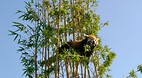 Palermo City Zoo