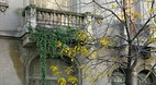 Palermo