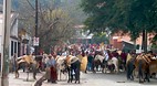 Salta