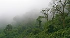 Tafi del Valle
