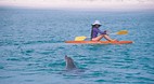 Abrolhos Islands
