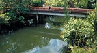 Adelaide River